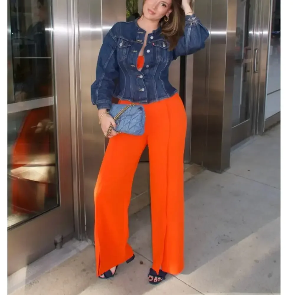 Rodebjer Orange Wide Leg Pant XS Trouser High Rise Split Hem Pleat Designer $345 - Picture 6 of 13